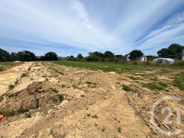 terrain à vendre - 532.0 m2 - LA HAYE D ECTOT - 50 - BASSE-NORMANDIE - Century 21 Chevet Immobilier