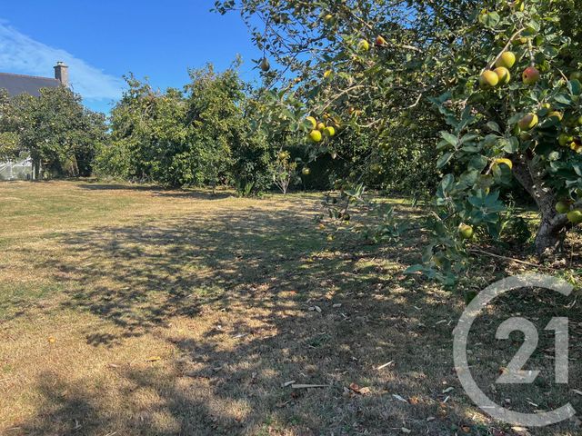 maison à vendre - 5 pièces - 102.38 m2 - ST GEORGES DE LA RIVIERE - 50 - BASSE-NORMANDIE - Century 21 Chevet Immobilier