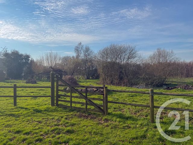 maison à vendre - 6 pièces - 180.0 m2 - DOVILLE - 50 - BASSE-NORMANDIE - Century 21 Chevet Immobilier