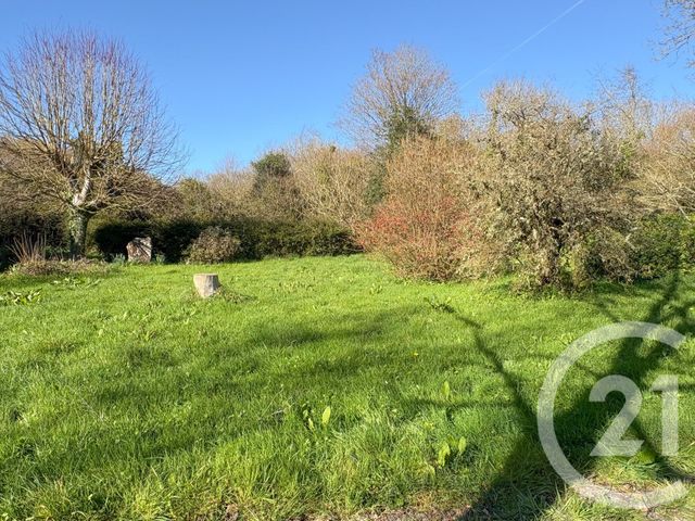 maison à vendre - 5 pièces - 163.99 m2 - LE MESNIL - 50 - BASSE-NORMANDIE - Century 21 Chevet Immobilier